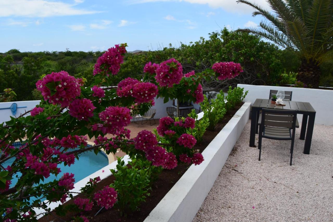 Saint Joris A Tiny Boutique Resort Willemstad Kültér fotó