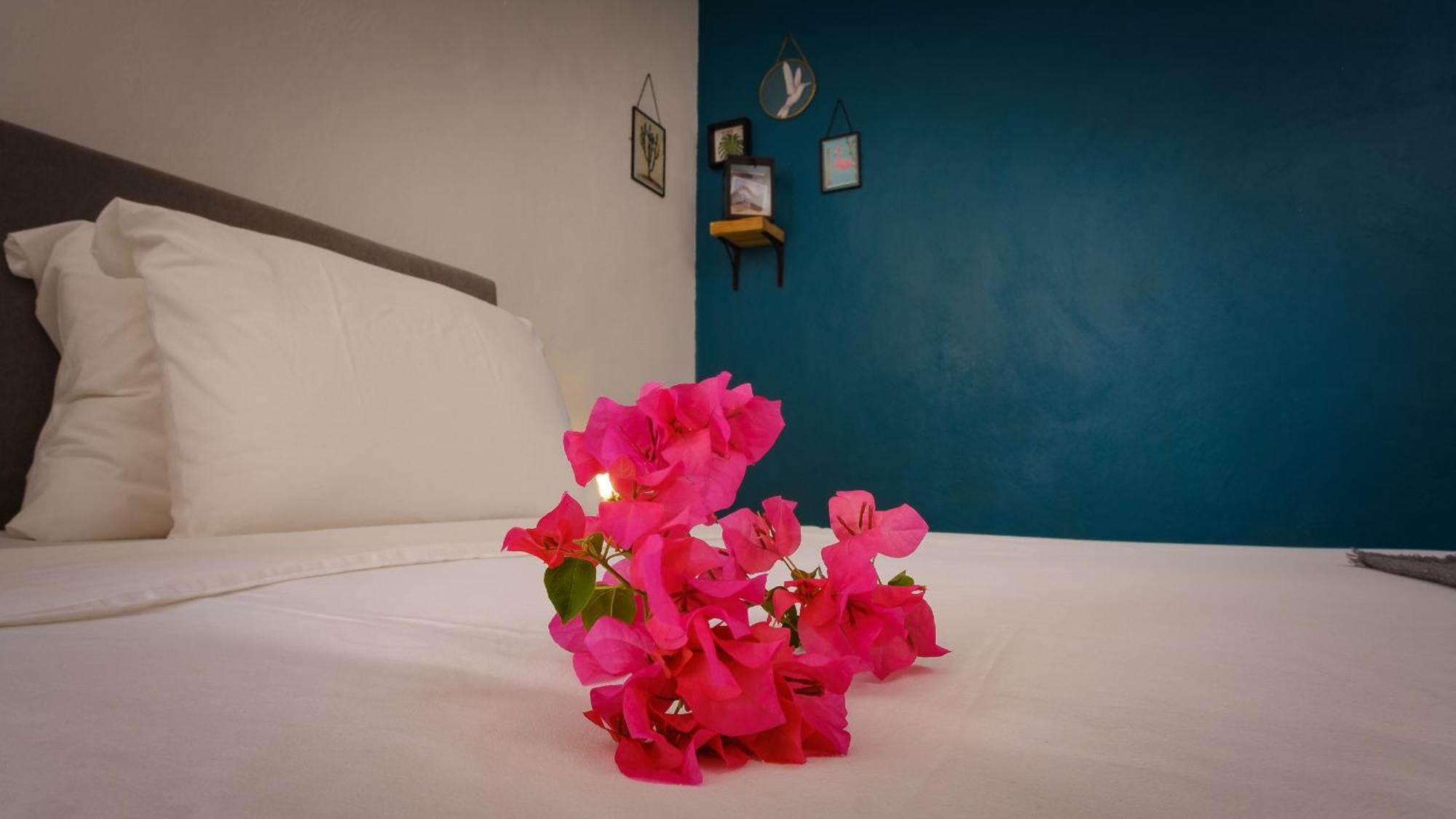 Saint Joris A Tiny Boutique Resort Willemstad Kültér fotó